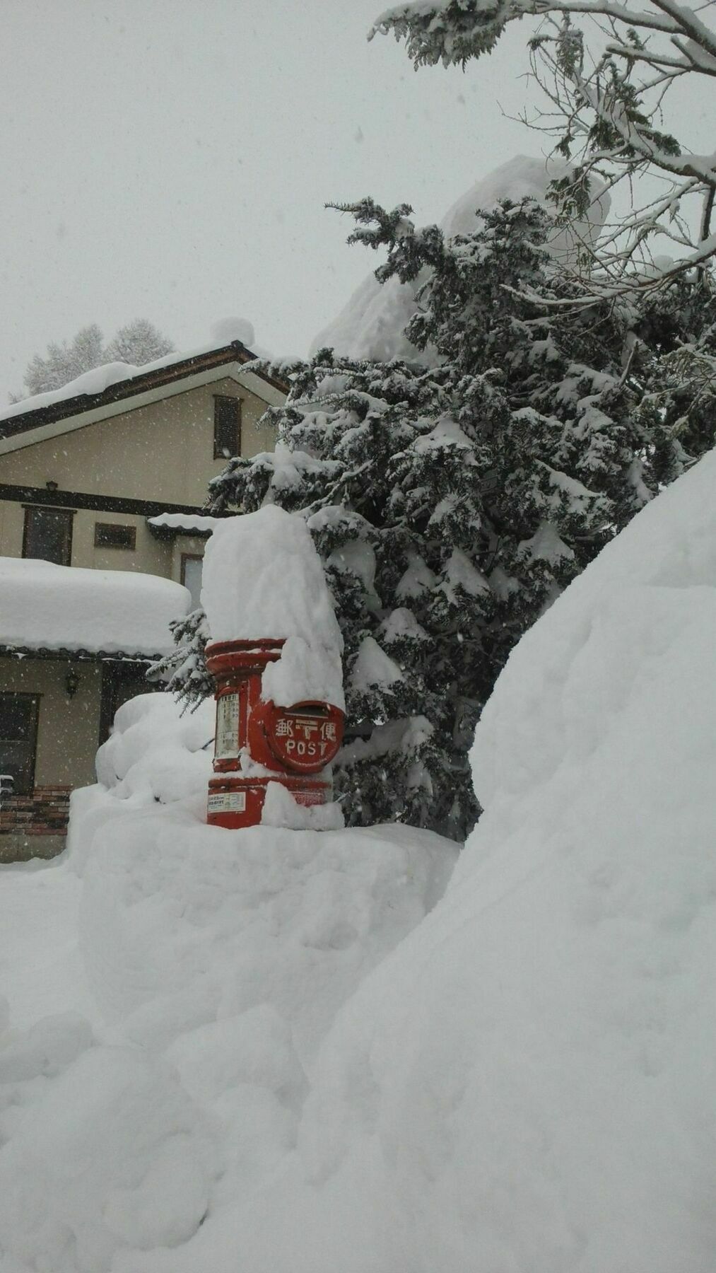 Sakka Sanso Villa Hakuba Bagian luar foto