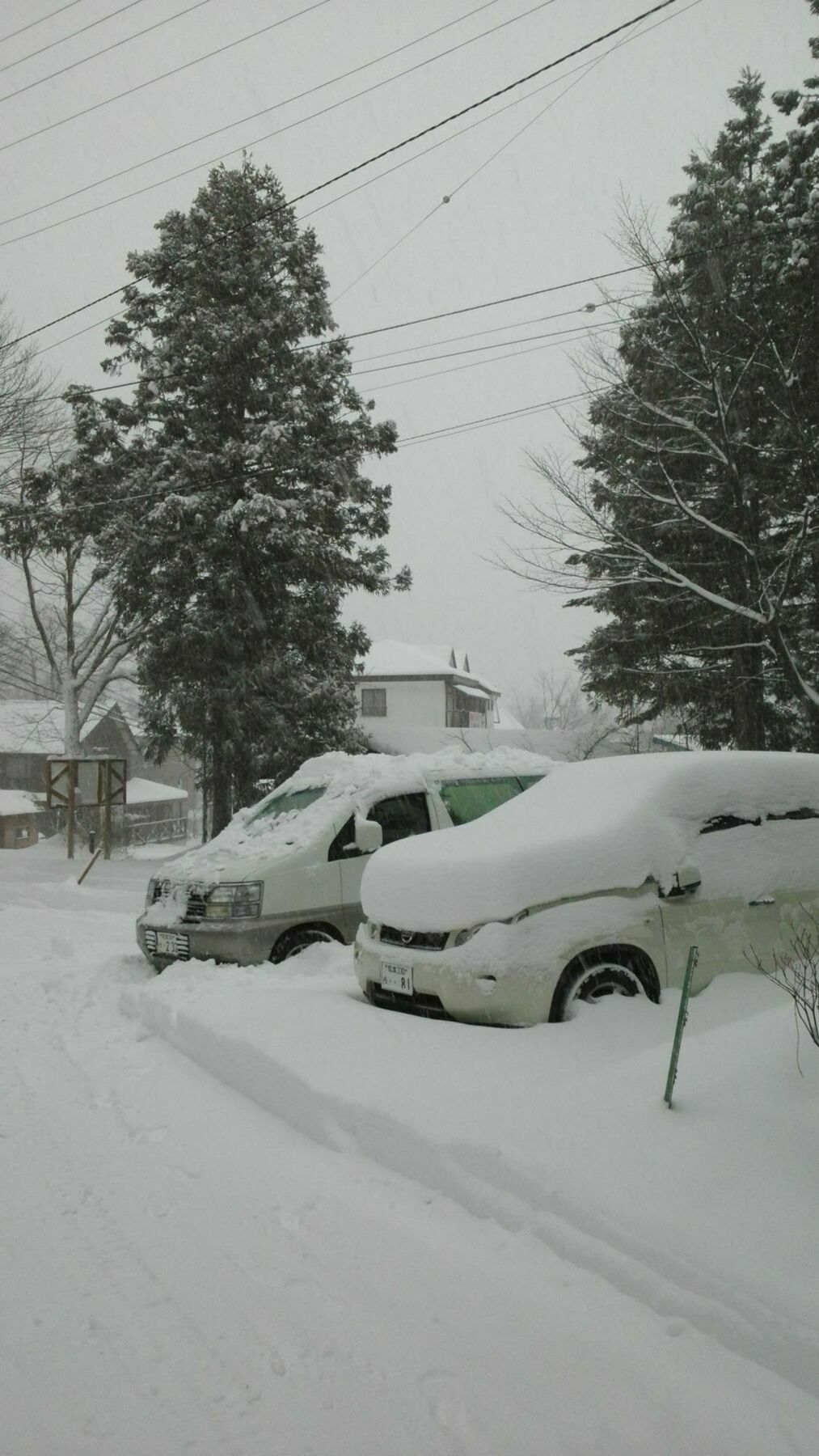 Sakka Sanso Villa Hakuba Bagian luar foto